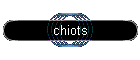 chiots